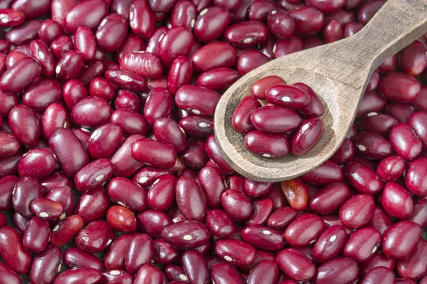 Feijões Vermelhos Crus Phaseolus Vulgaris — Fotografia de Stock