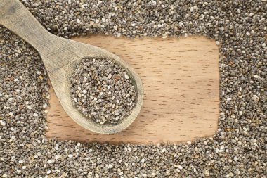 Organik chia tohum masada - Salvia hispanica