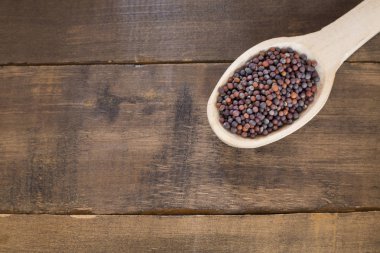 Organik kara hardal taneleri - Brassica nigra