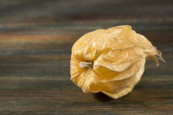 Amora Dourada Uchuva Physalis Peruviana — Fotografia de Stock