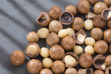 Macadamia fıstığı - Macadamia integrifolia