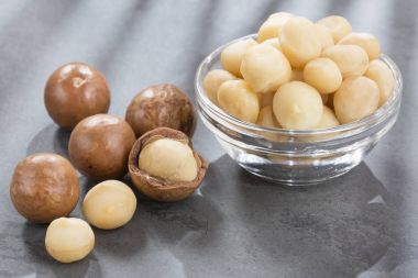 Macadamia fıstığı - Macadamia integrifolia
