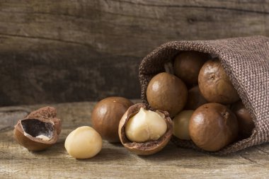 Macadamia fıstığı - Macadamia integrifolia