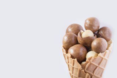 Macadamia fıstığı - Macadamia integrifolia