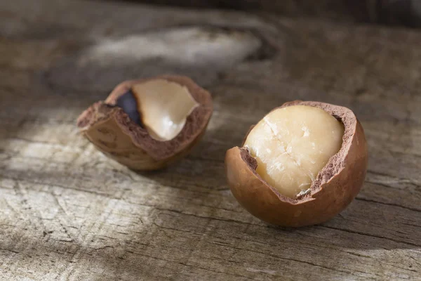 Macadamia Nuts Macadamia Integrifolia — Stock Photo, Image