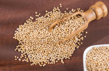 Tahıl hardal - Sinapis alba sarı