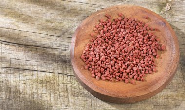 Organik fındık tohumları - Bixa orellana