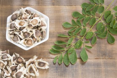 Seeds and dried leaves of moringa - Moringa oleifera clipart