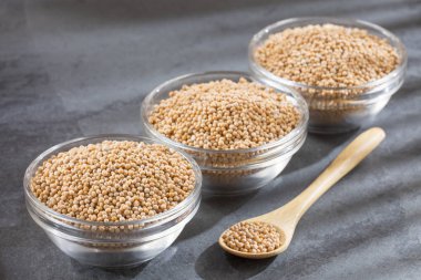 Tahıl hardal - Sinapis alba sarı