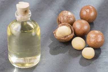 Macadamia fındık ve yağ - Macadamia integrifolisi