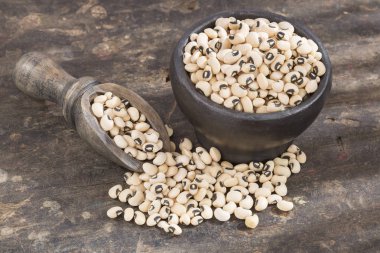 Siyah göz fasulye - Vigna unguiculata