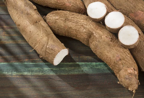 Kassava Raw Tuber Manihot Esculenta — Stockfoto