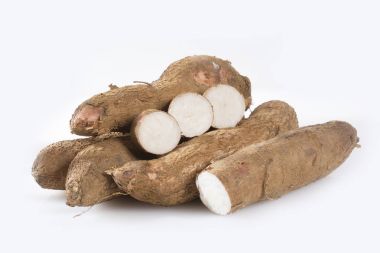 Cassava raw tuber - Manihot esculenta clipart