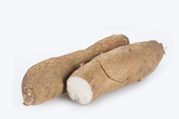 Cassava Raw Tuber Manihot Esculenta — Stok Foto