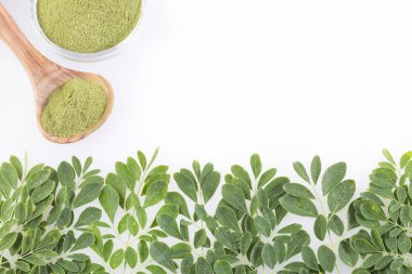 Taze yapraklar ve moringa tozu Moringa oleifera