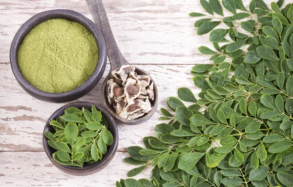 Moringa Táplálkozási Növény Moringa Oleifera — Stock Fotó