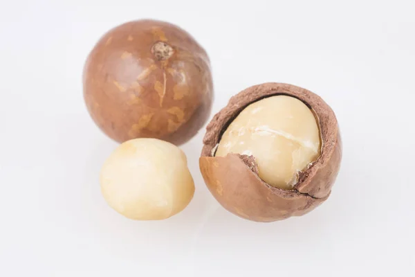 Macadamia Nuts Macadamia Integrifolia — Stock Photo, Image
