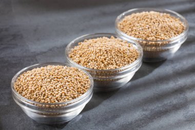 Tahıl hardal - Sinapis alba sarı