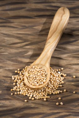 Tahıl hardal - Sinapis alba sarı