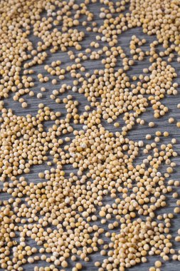 Tahıl hardal - Sinapis alba sarı