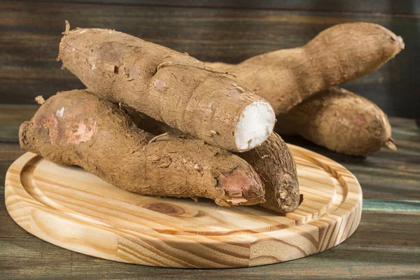 Cassava raw tuber Manihot esculenta — Stok Foto