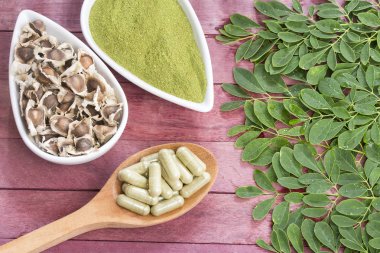 Moringa yaprak, tohum, toz ve kapsül - Moringa oleifera