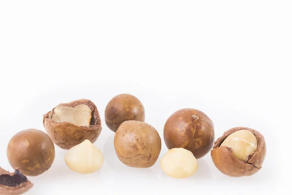 Macadamia nuts - Macadamia integrifolia — Stock Photo, Image