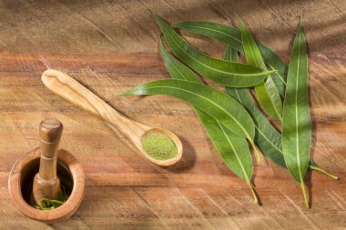 Taze okaliptüs yaprakları - Eucalyptus globulus