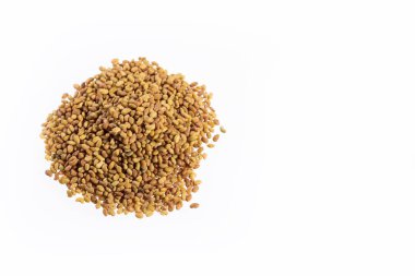 Medicago sativa - Organik Alfalfa Tohumları