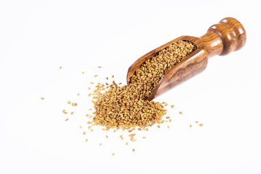 Medicago sativa - Organik Alfalfa Tohumları
