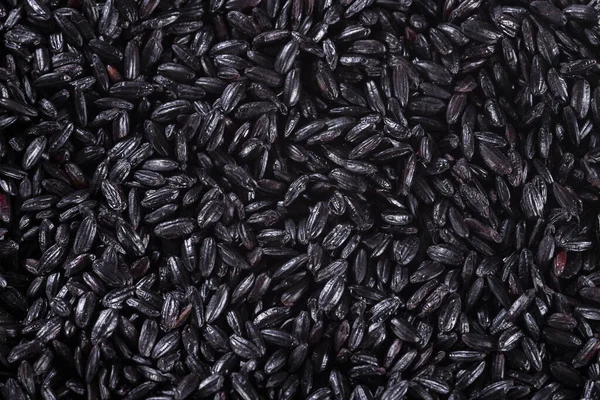 Oryza sativa - Biologische rauwe zwarte rijst — Stockfoto