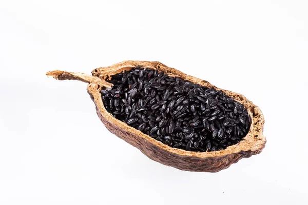 Oryza sativa - Organic Raw Black Rice — Stockfoto