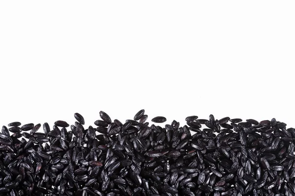 Biologische rauwe zwarte rijst - Oryza sativa — Stockfoto