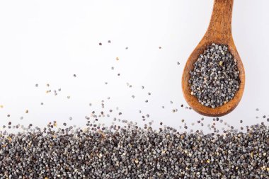 Papaver somniferum - kurutulmuş haşhaş tohumu