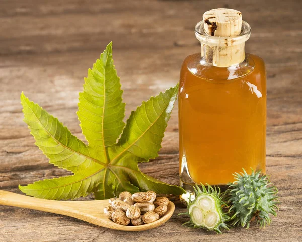 Ricinus Communis - Kuru ve yeşil fasulyeli hintyağı