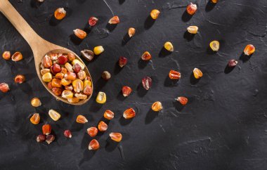 Kolombiya Karayip bölgesinden gelen Creole mısır çeşitliliği - Zea mays