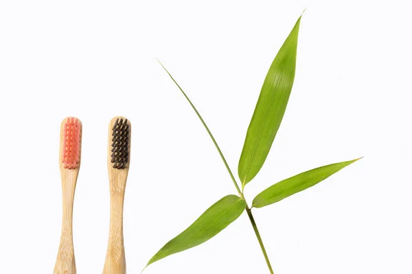 Spazzolini di bambù naturali. concetto di vita sostenibile . — Foto Stock