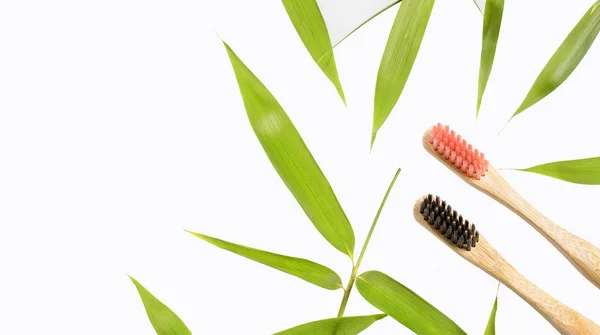 Cepillos de dientes de bambú y hojas de bambú orgánico. El concepto de producto de belleza natural orgánica . — Foto de Stock