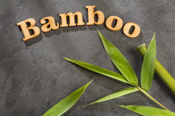 Bambusoideae - phrase en bambou en lettres de bois — Photo