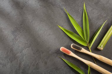 Bamboo toothbrushes and organic bamboo leaves. The concept of organic natural beauty product.