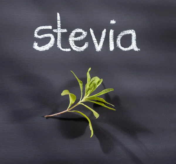 Stevia Vertrekt Stevia Rebaudiana Stevia Woord Geschreven Met Krijt — Stockfoto