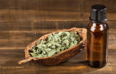 Önemli sağlık özelliklerine sahip okaliptüs esaslı yağ