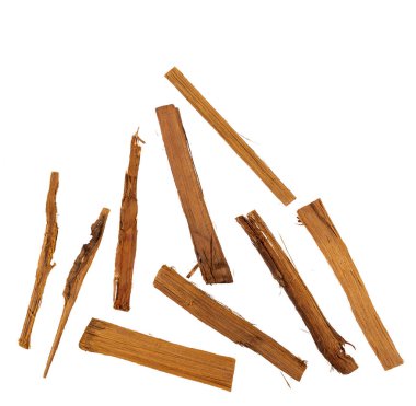 Tıbbi özellikleri olan kedi pençesi - uncaria tomentosa