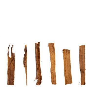 Antiinflamatuar özellikli kedi pençesi Uncaria tomentosa