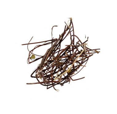 Tıbbi Valerian yatıştırıcı görevi görüyor, sinir sistemini rahatlatıyor, Valeriana officinalis.