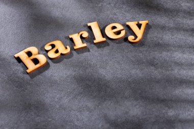 Ahşap harflerle arpa kelime - Hordeum vulgare