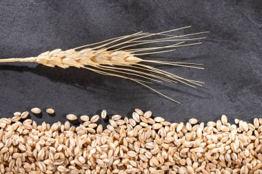 Hordeum vulgare, çiğ organik inci arpa. Üst görünüm
