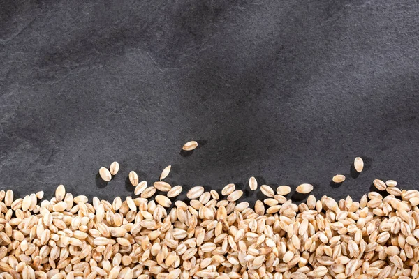Raw Organic Pearl Barley Hordeum Vulgare Inglês Espaço Texto — Fotografia de Stock