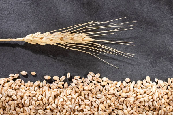 Hordeum Vulgare Raw Organic Pearl Barley 위에서 — 스톡 사진