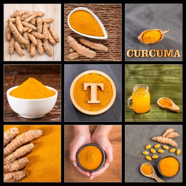 Curcuma longa - Zerdeçal resimlerin yaratıcı kolajı